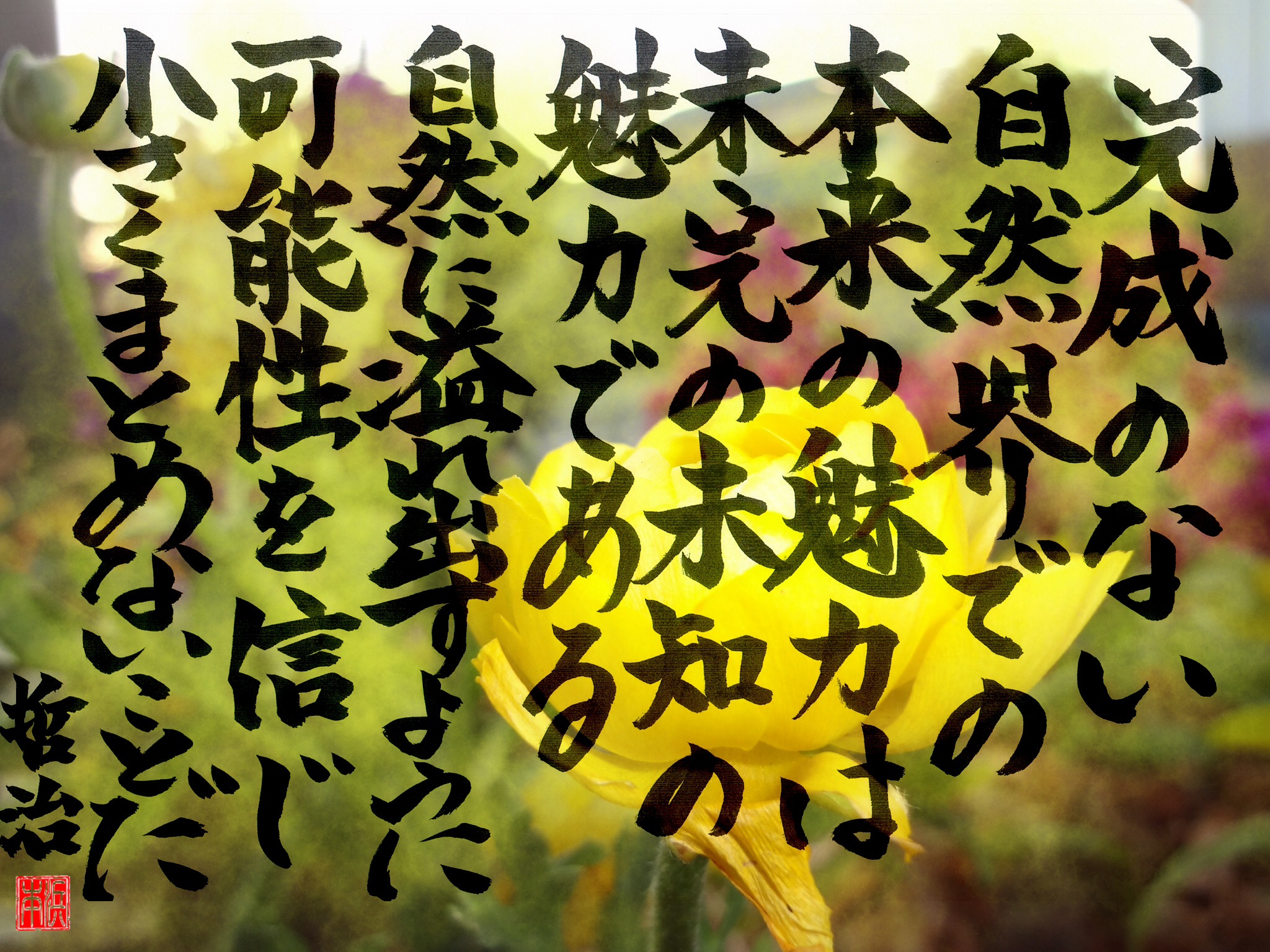 完成のない自然界での本来の魅力は、未完の未知の魅力である。自然に溢れ出すように、可能性を信じ小さくまとめないことだ。